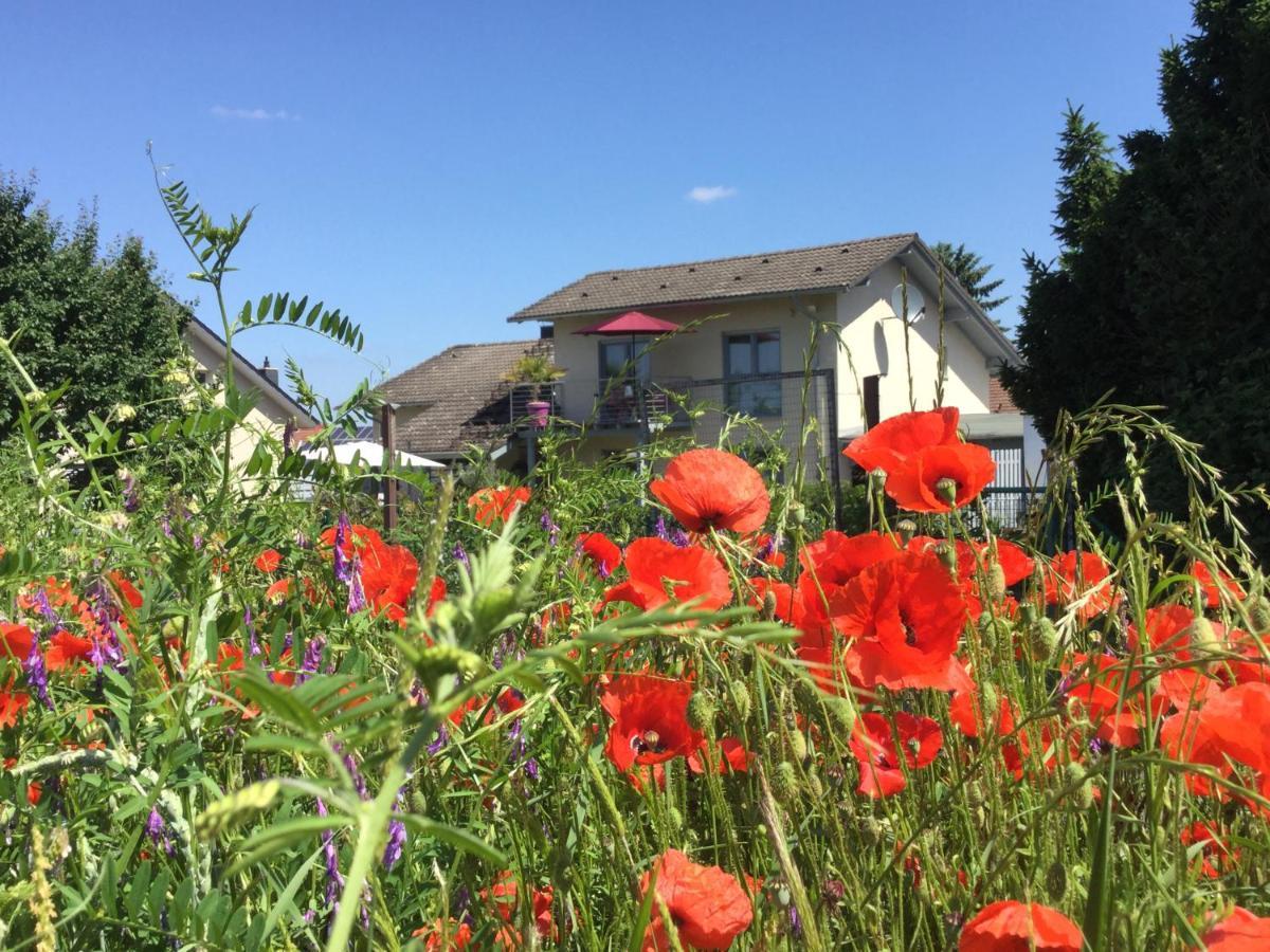 Charmante Ferienwohnung 100 Qm Groß-Umstadt Esterno foto